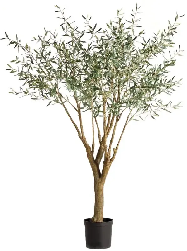 Apollo French Country Green Grand Olive Drop In Potted Tree - Large