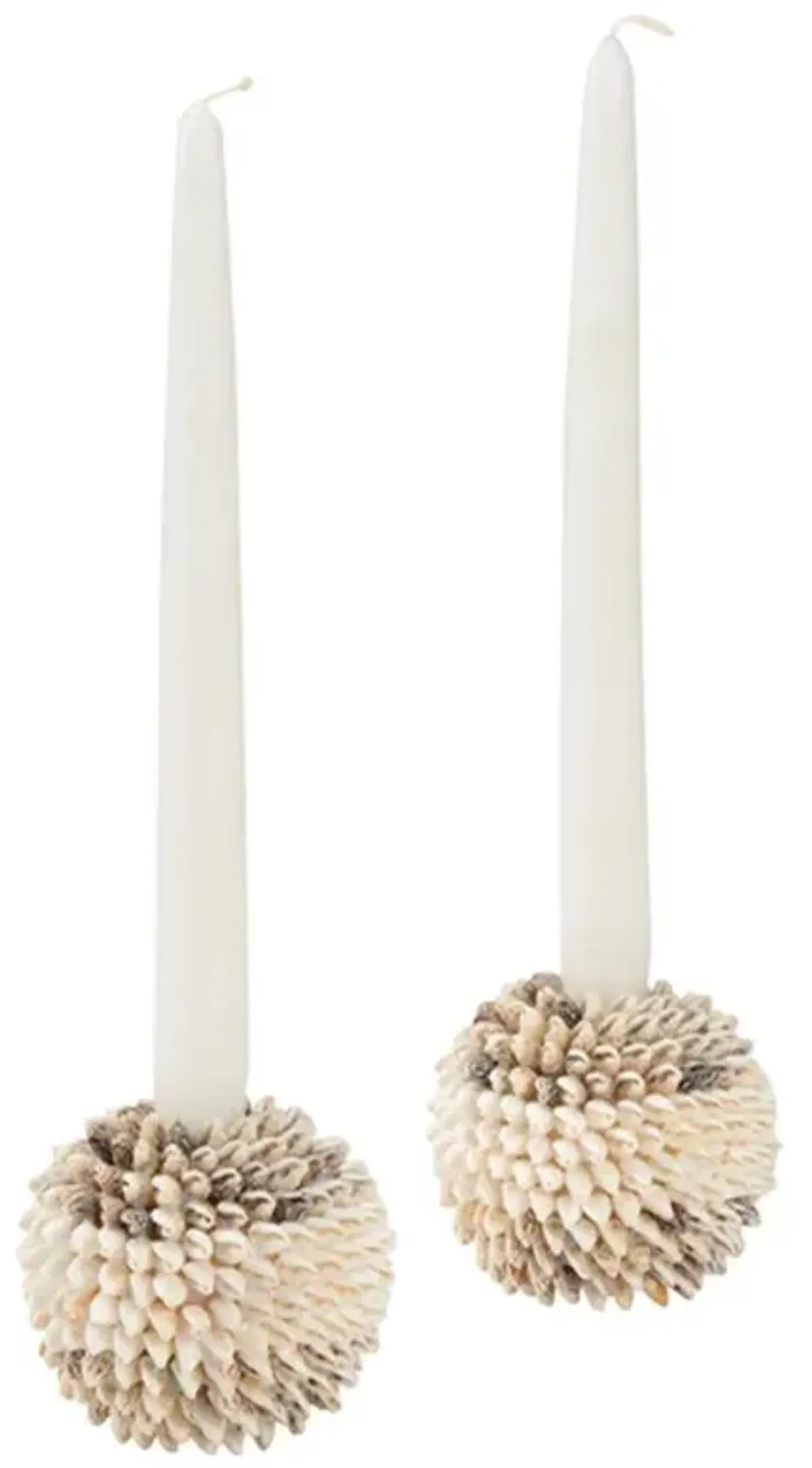 Brienna Coastal Natural Shells Candlestick Candleholder - Set of 2