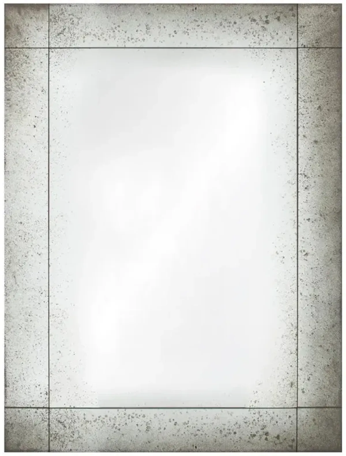Trevor French Country Antique Glass Rectangular Wall Mirror - Large