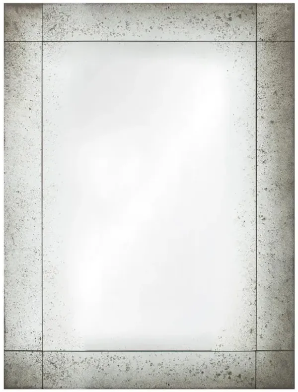 Trevor French Country Antique Glass Rectangular Wall Mirror - Large