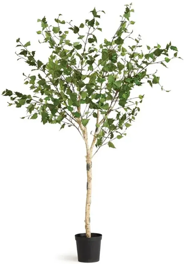Camile French Country Black Potted Green Birch Tree