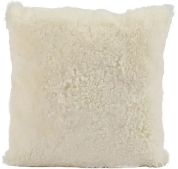 Zola Modern White Curly Short Wool Sheepskin Throw Pillow - 20x20