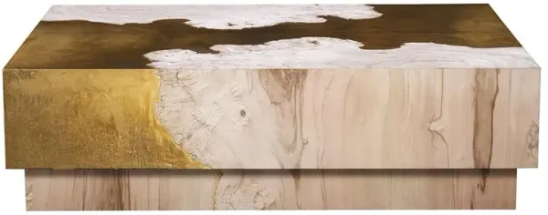 Ayesha Rustic Brown Wood Aged Brass Accent Rectangular Block Coffee Table