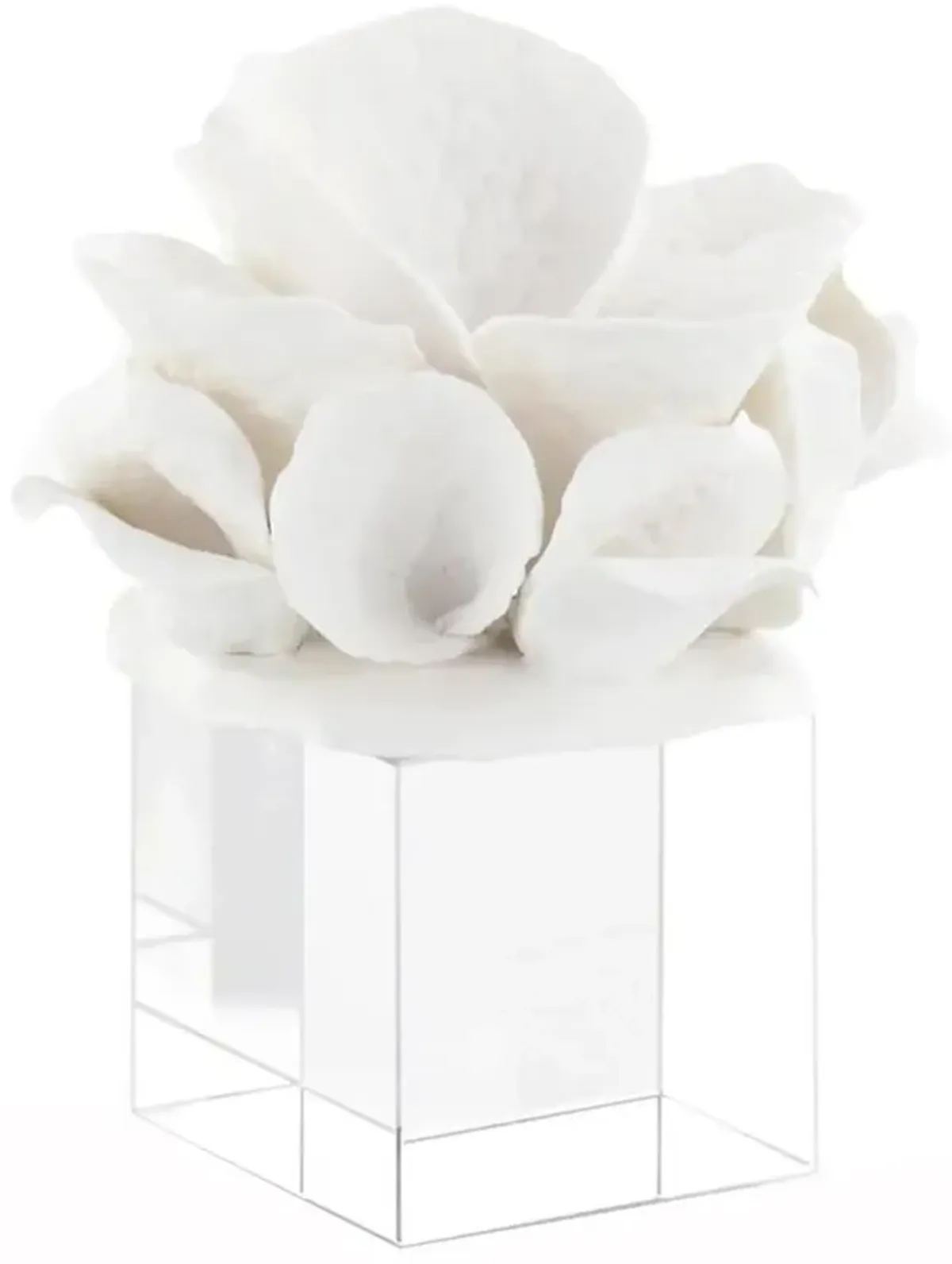 John Richard White Ceramic Coral Reef Clear Glass Decorative Sculpture - Small