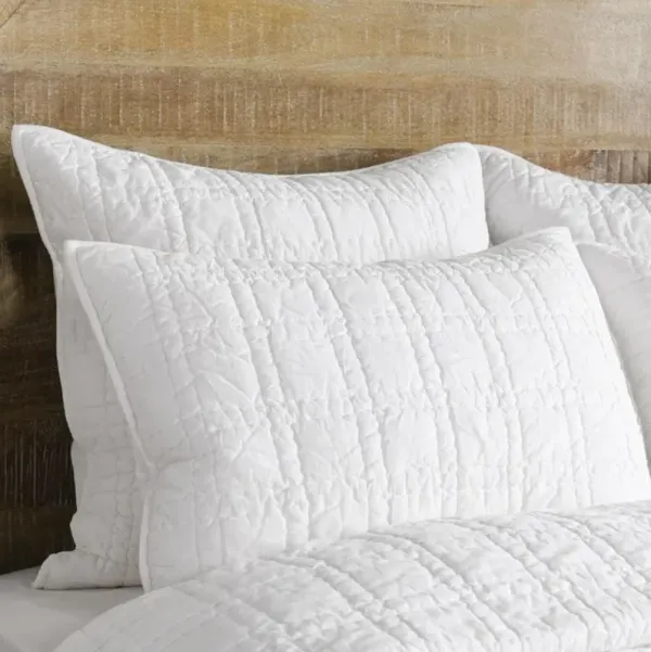 Calyp Modern Classic White Cotton Quilt - Queen