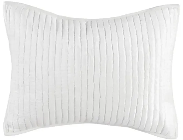 Beata Modern Classic White Velvet Sham - Standard