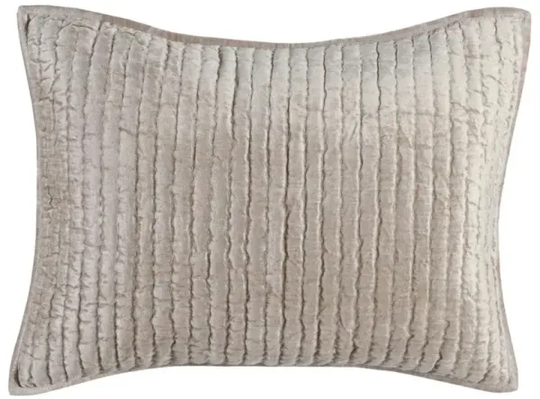 Beata Modern Classic Beige Velvet Sham - Standard