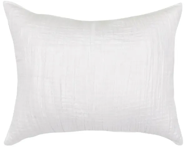Cosette Modern Classic White Cotton Sham - Standard