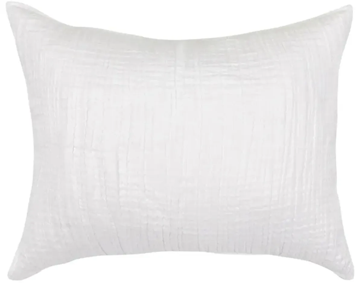 Cosette Modern Classic White Cotton Sham - King