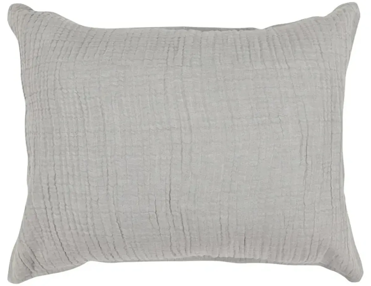 Cosette Modern Classic Grey Cotton Sham - Euro