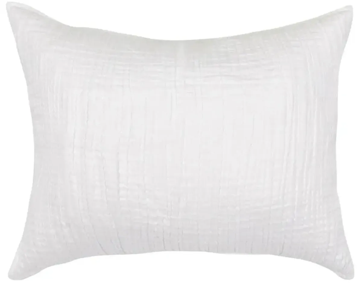 Cosette Modern Classic White Cotton Sham - Euro