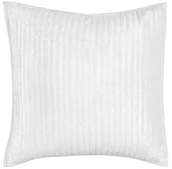 Beata Modern Classic White Velvet Sham - Euro