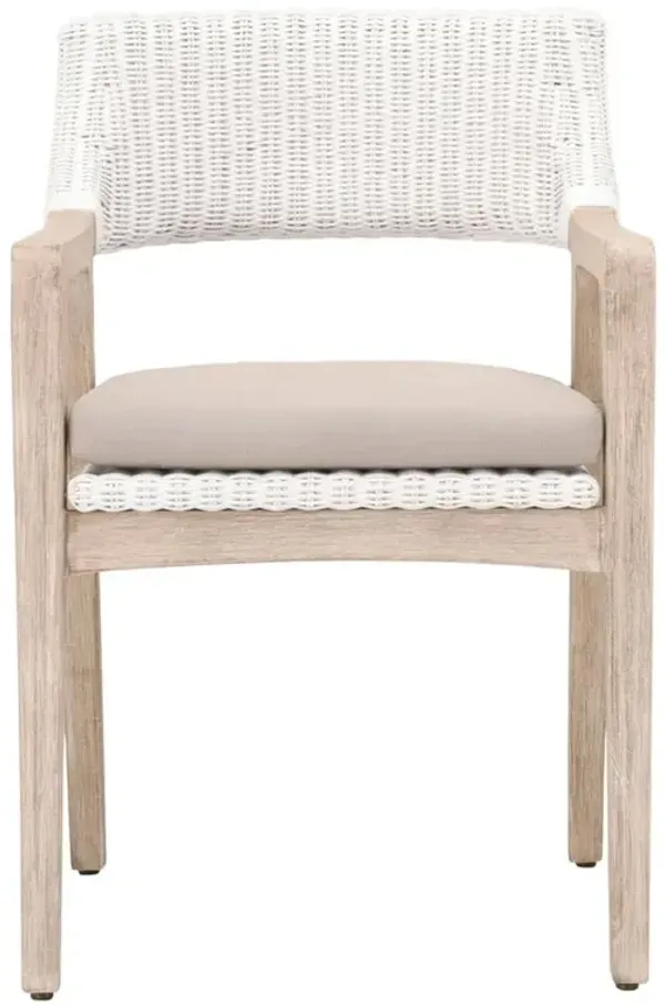 Lucile Coastal Beach Beige Cushion White Woven Rattan Grey Mahogany Dining Arm Chair