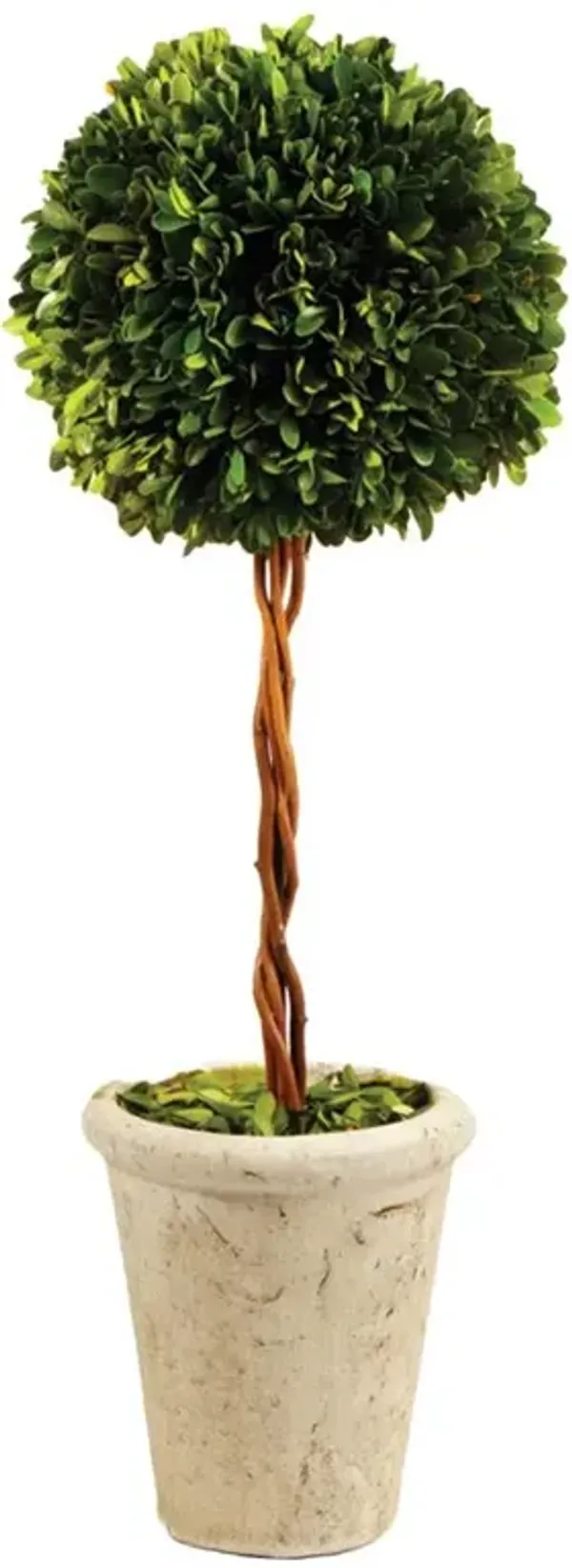 Marin French Country Green Boxwood Single Sphere Topiary - Small