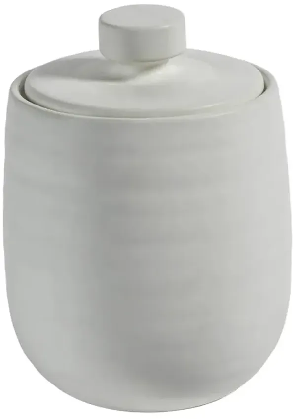 Frances Modern Classic Matte White Ceramic Decorative Jar - Small