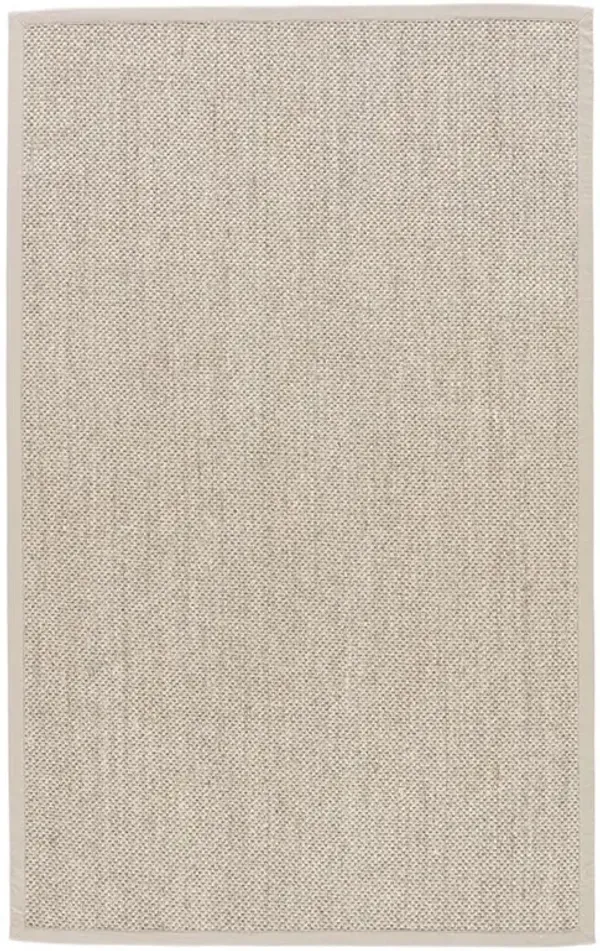Neville Coastal Beach Beige Sisal Solid Border Rug - 12'x15'