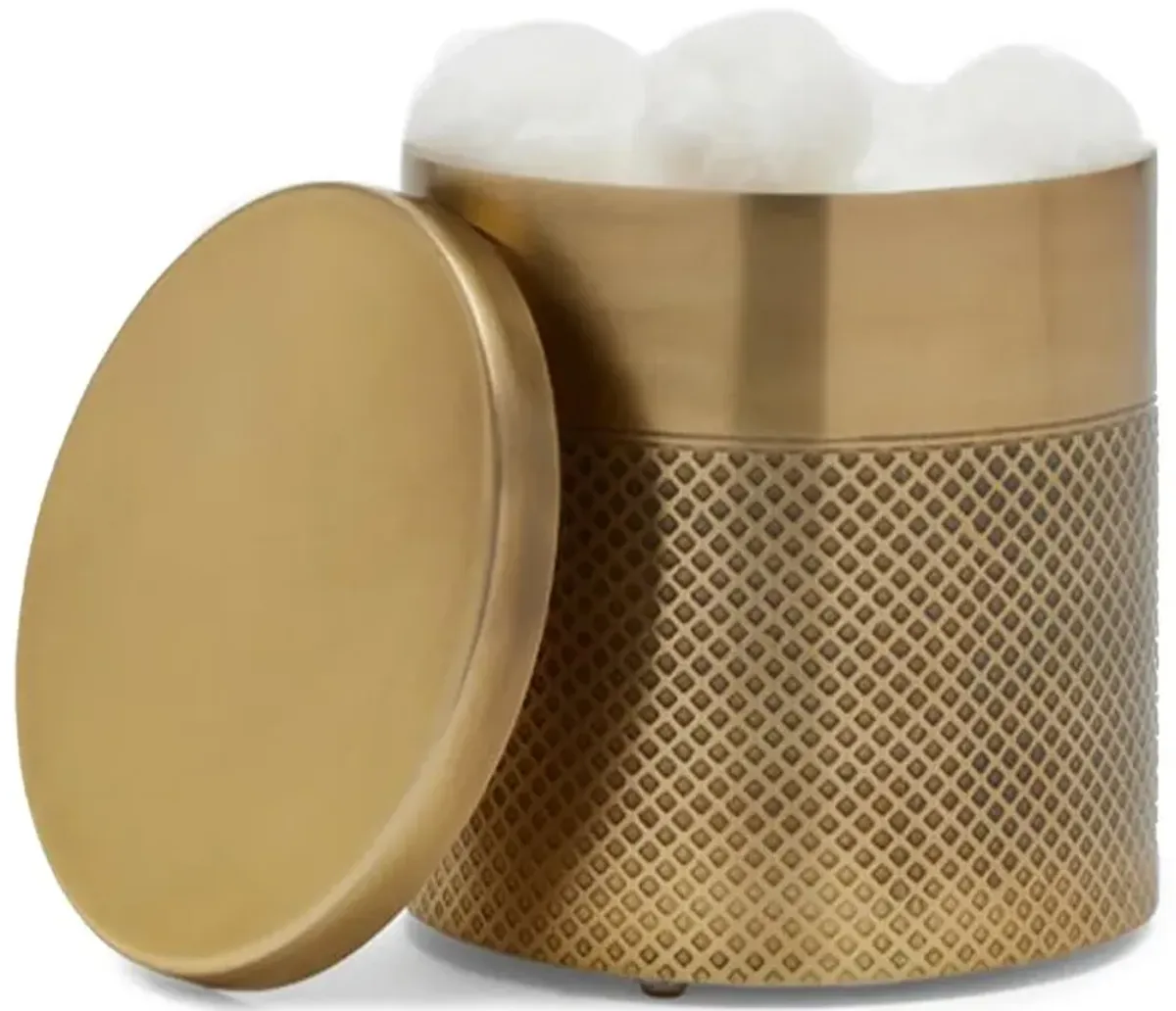 Pigeon and Poodle Hagen Modern Antique Brass Stainless Steel Bath Canister
