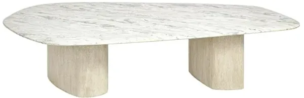 Palecek Caleb Modern Classic White Marble Grey Hardwood Coffee Table - Short