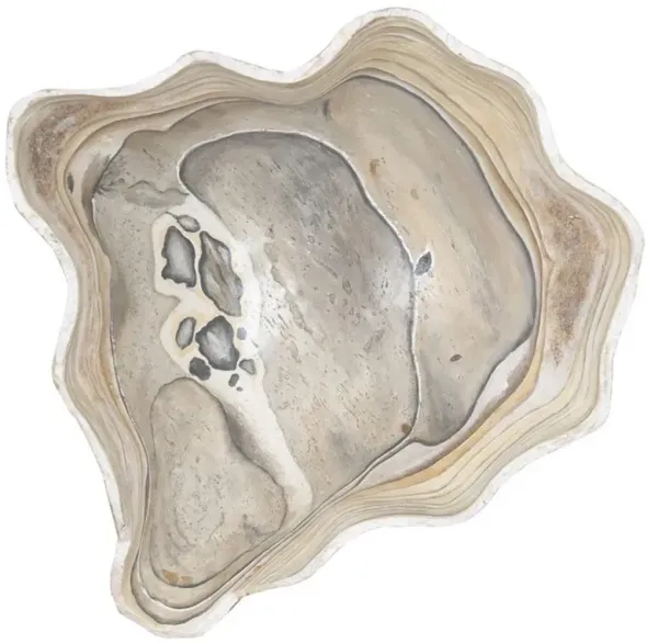 Sonia Coastal Beach Beige Wall Sculpture - Large