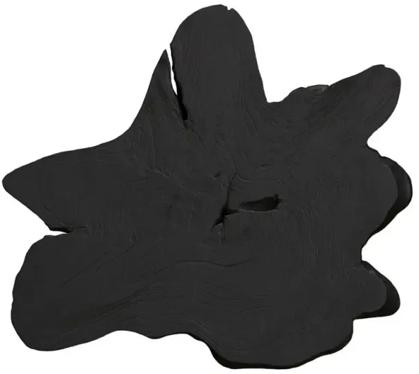 Marcello Rustic Lodge Black Teak Wood Wall Sculpture