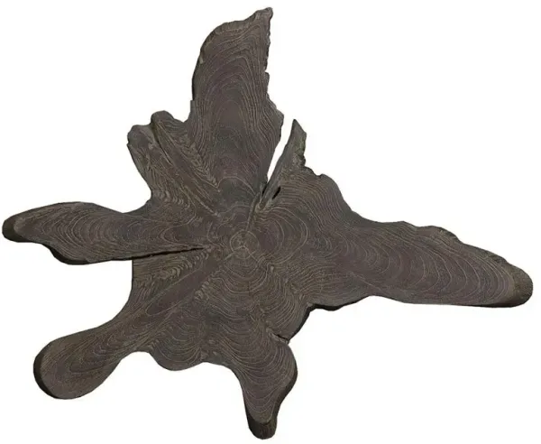 Marcello Rustic Lodge Dark Grey Teak Wood Wall Sculpture