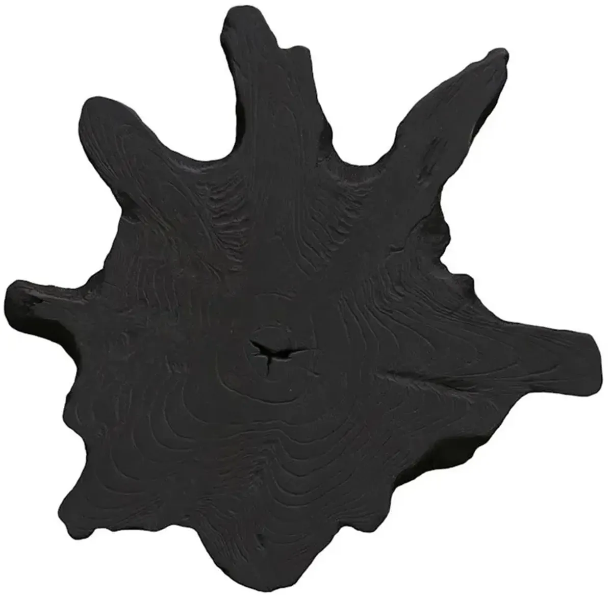 Marcello Rustic Lodge Black Teak Wood Slice Wall Sculpture