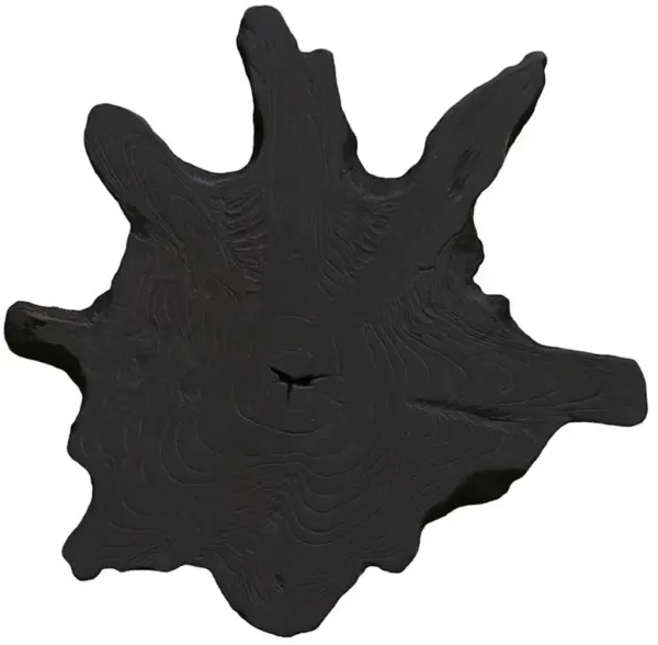 Marcello Rustic Lodge Black Teak Wood Slice Wall Sculpture