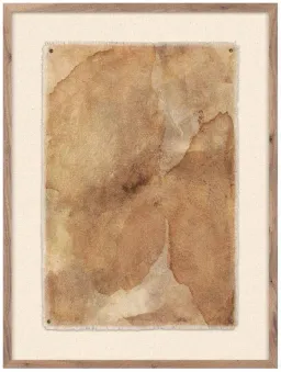 Rustic Brown Frame color