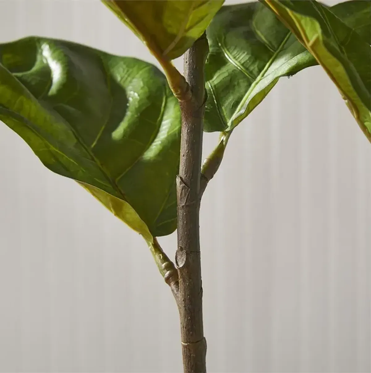 Fida French Country Green Fiddle Leaf Grey Ceramic Potted Fig Tree - Small