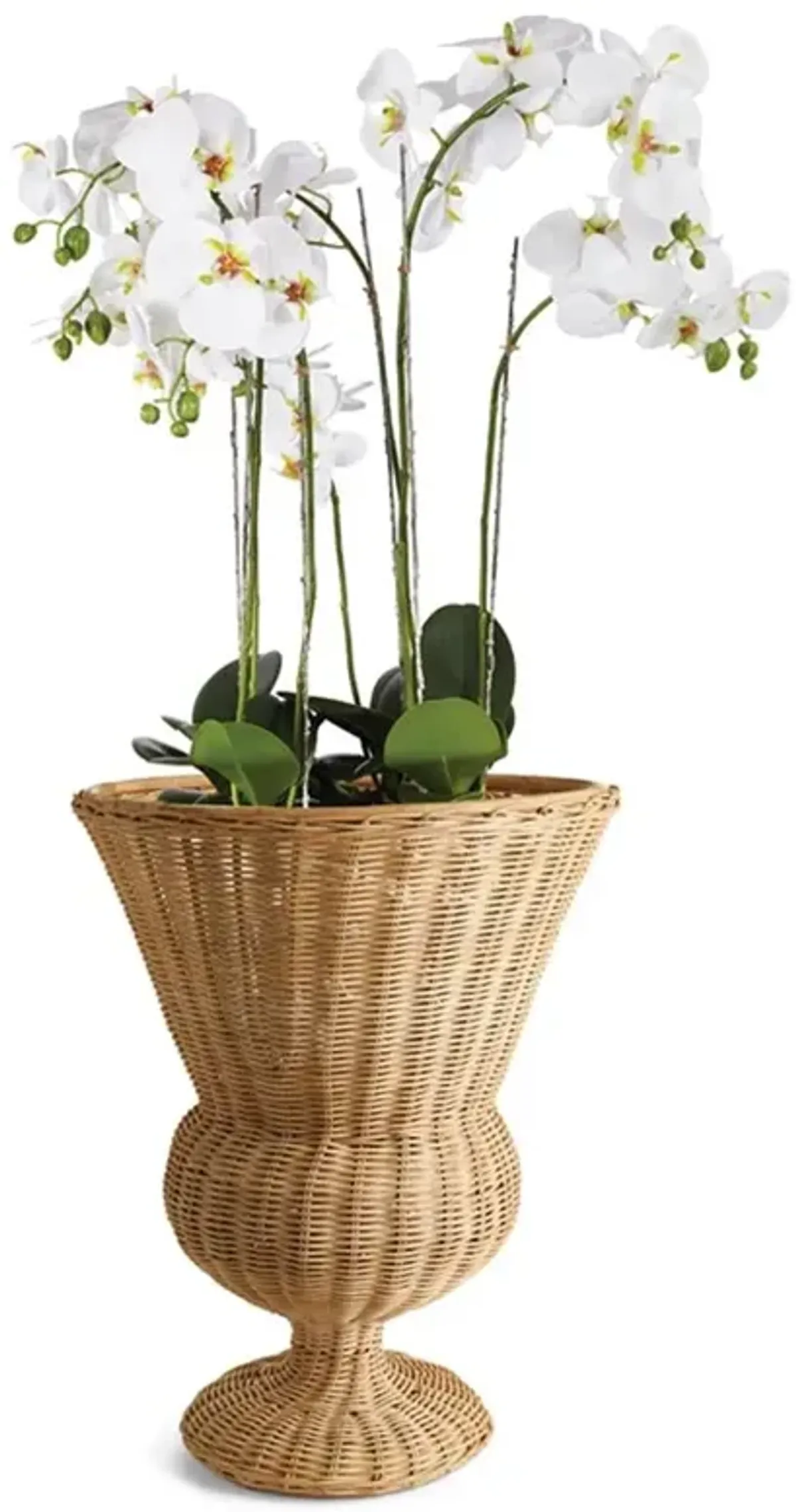 Tahmina Coastal Beach Brown Woven Rattan Footed Planter Vase