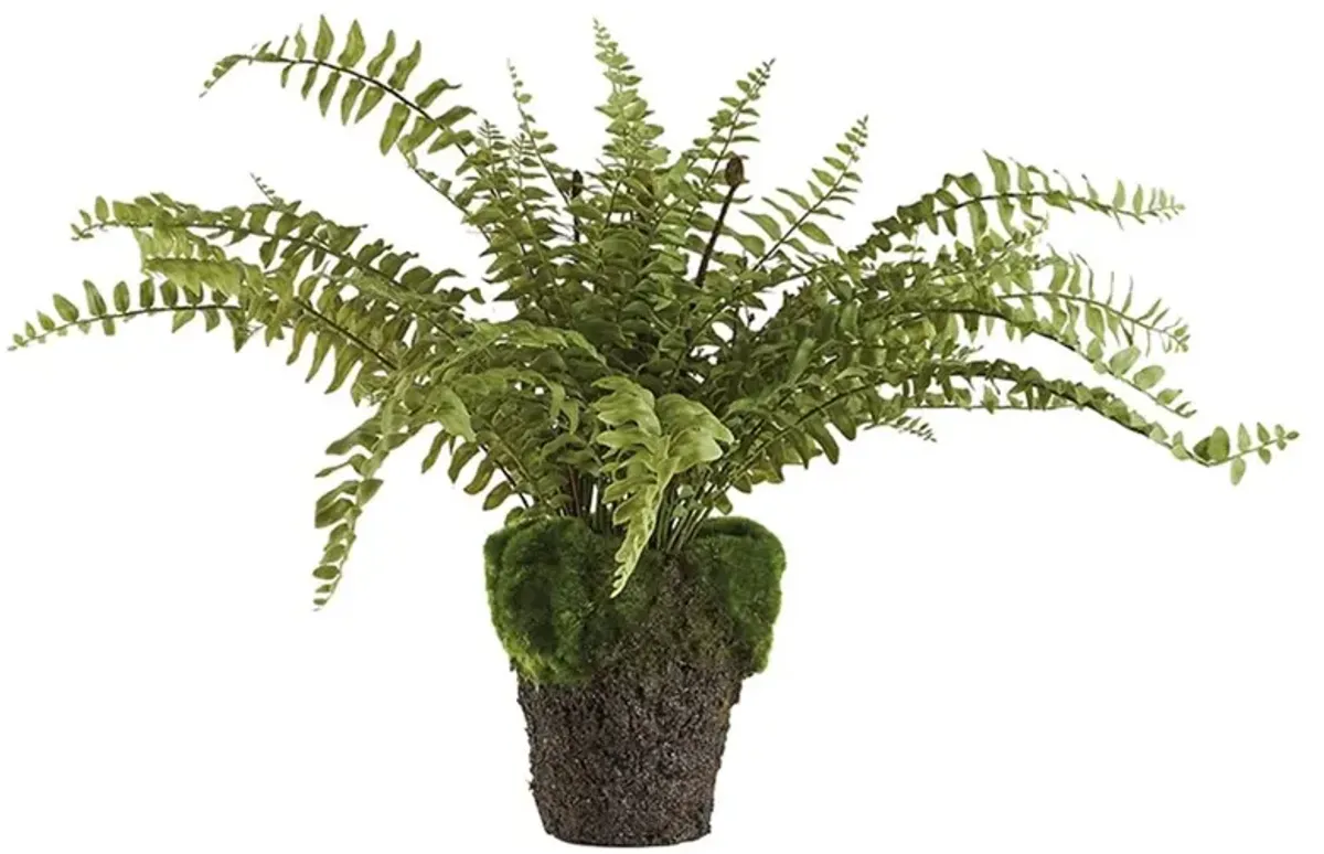 Taelyn French Country Green Boston Fern Drop In Faux Floral