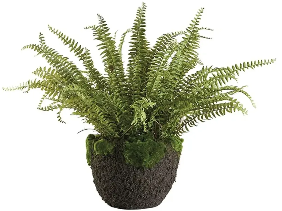 Taelyn French Country Green Grand Boston Fern Drop In Faux Floral