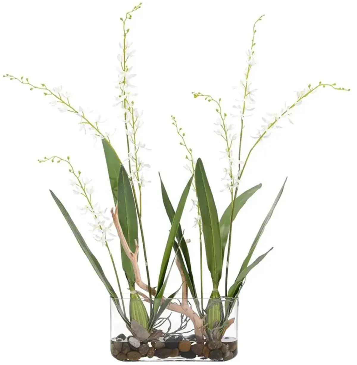 John-Richard Pearls French White Dendrobium Orchid Glass Faux Floral Arrangement