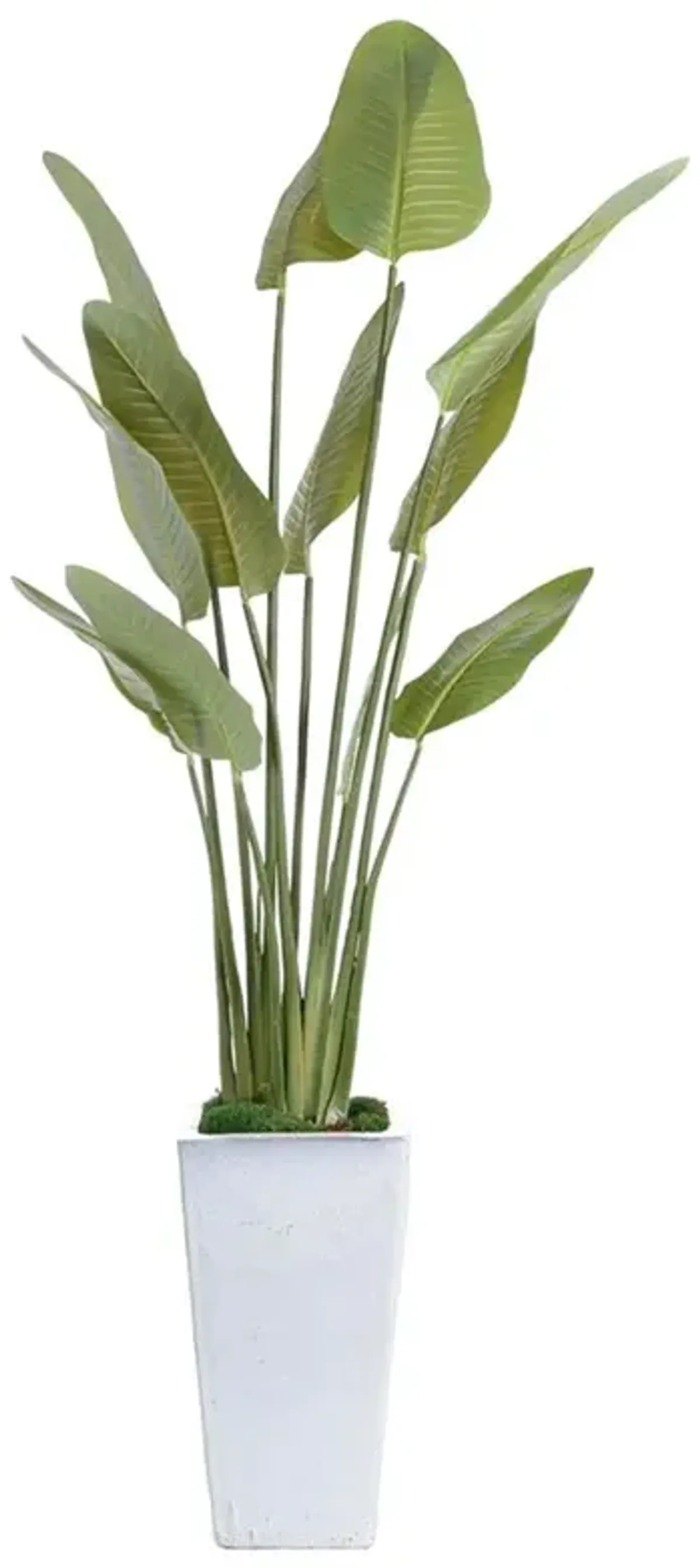 John-Richard Tropical French Country Green Birds Of Paradise Faux Floral