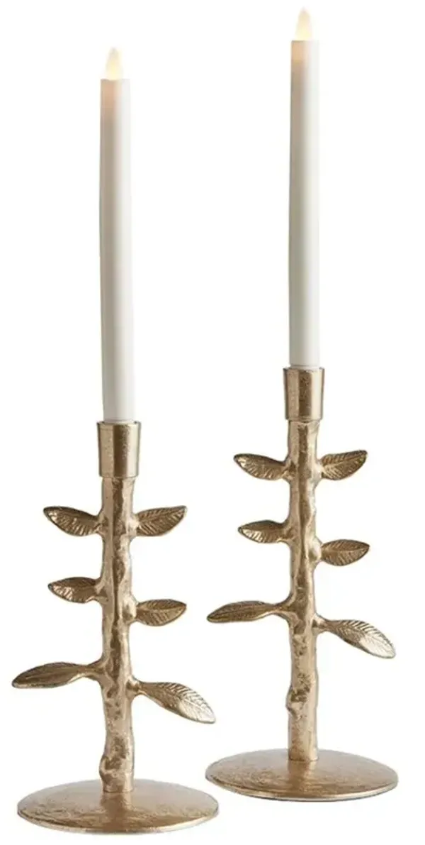 Miles French Country Gold Aluminum Candle Holder - Set of 2