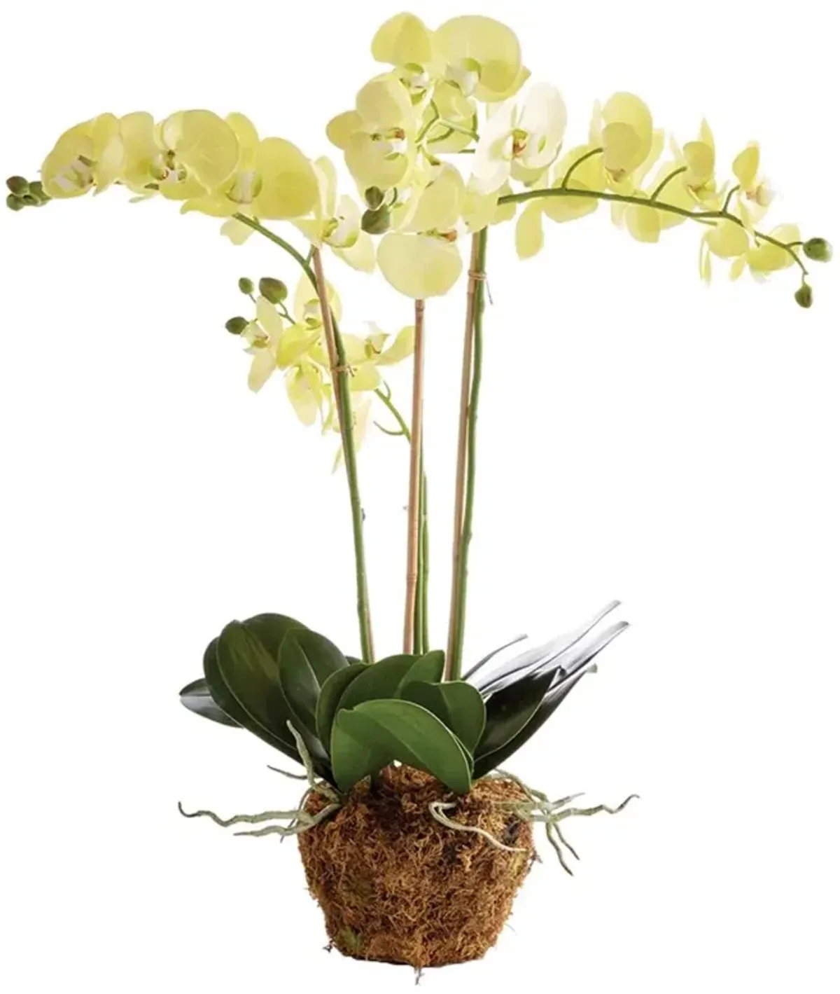 Angel French Country Yellow Phalaenopsis Orchid Drop In Faux Floral - Large