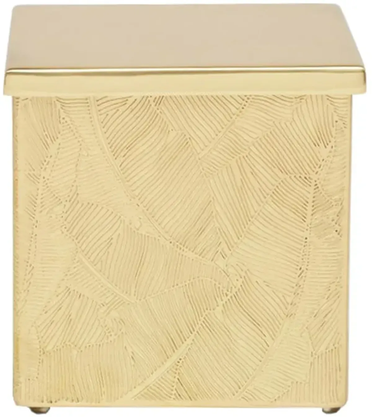 Pigeon and Poodle Mancora Hollywood Regency Shiny Etched Brass Canister