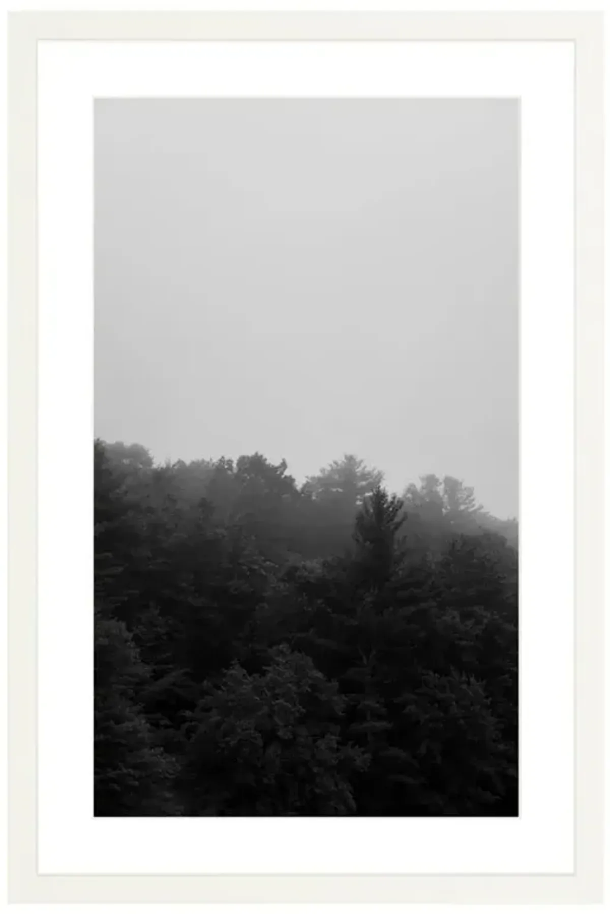 Mountain Fog Photograph by Amanda Anderson - 24x16
