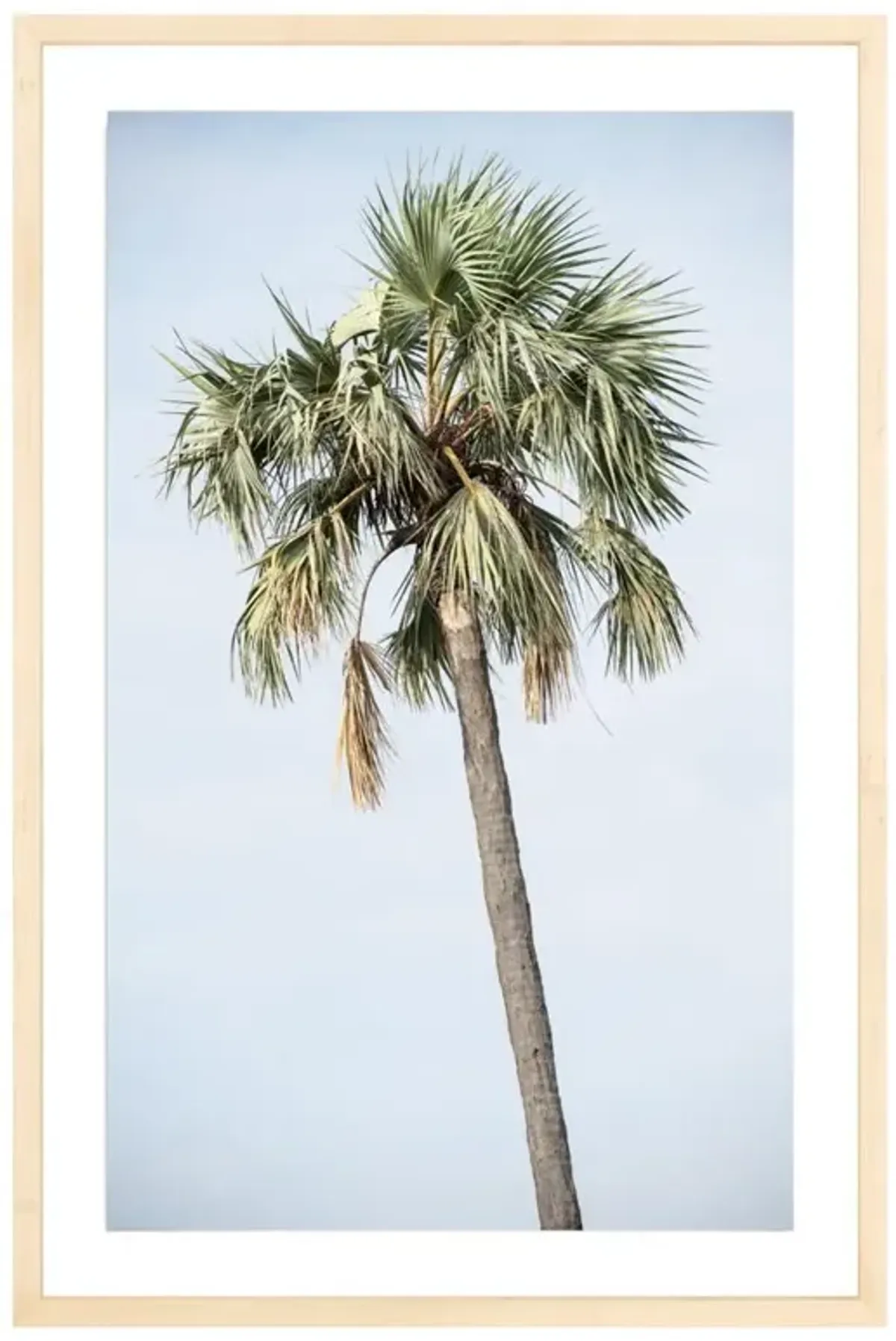 Tanzanian Palm Photograph by Amanda Anderson - 30x20