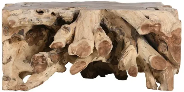 Prescy Coastal Beach Natural Teak Root Square Coffee Table