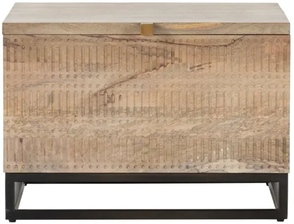 Madison Modern Classic Light Wash Mango Wood Storage Coffee Table