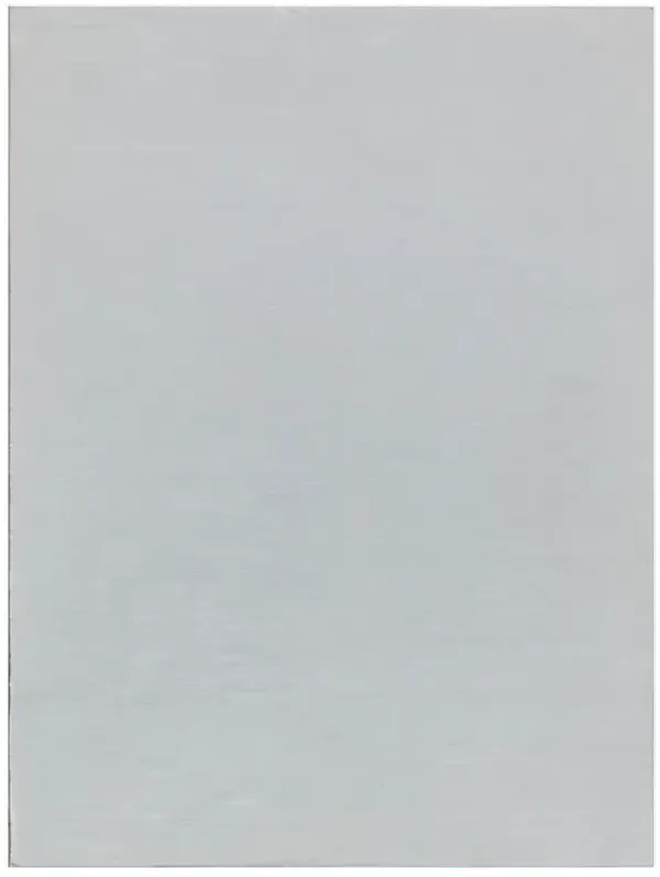 Ezraiah Modern Classic White Solid Indoor Outdoor Rug - 14'x18'