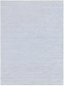 Light Blue color