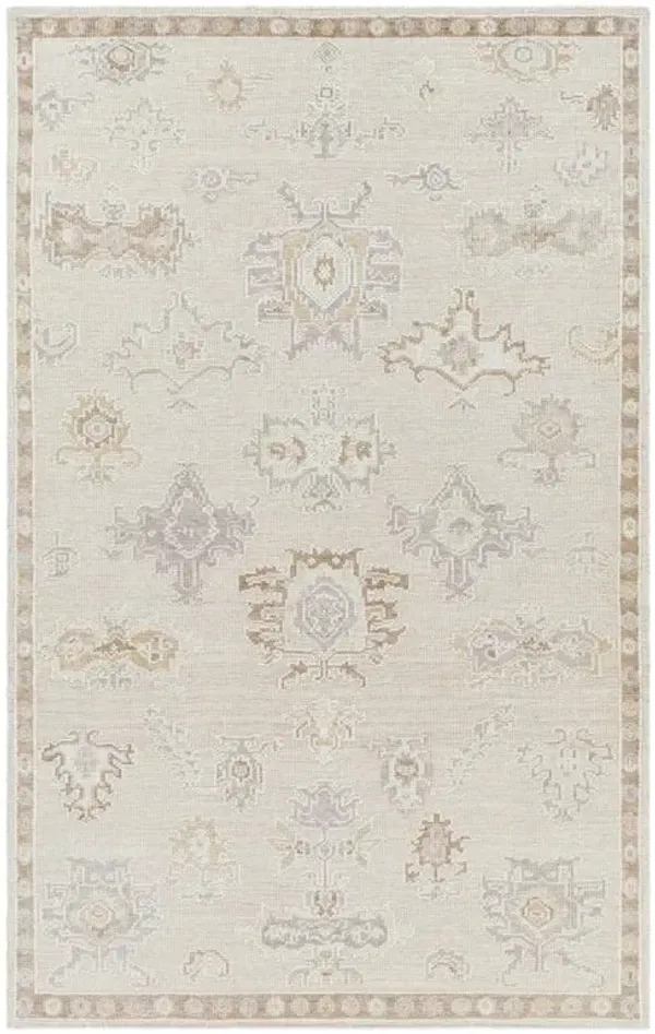 Raphael Global Bazaar Brown Tribal Patterned Indoor Outdoor Hand Knotted Rug - Sample