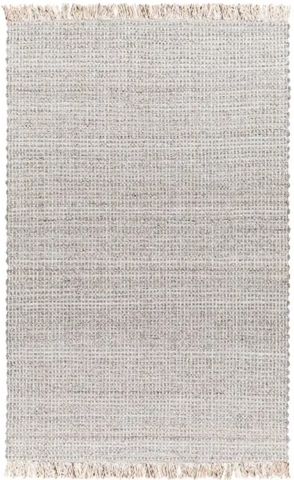 Zedric Coastal Beach Beige Solid Indoor Outdoor Rug - Sample