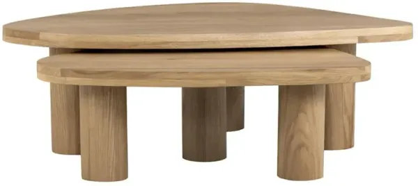 Zayden Modern Classic Natural Oak Wood Nesting Coffee Table - Set of 2