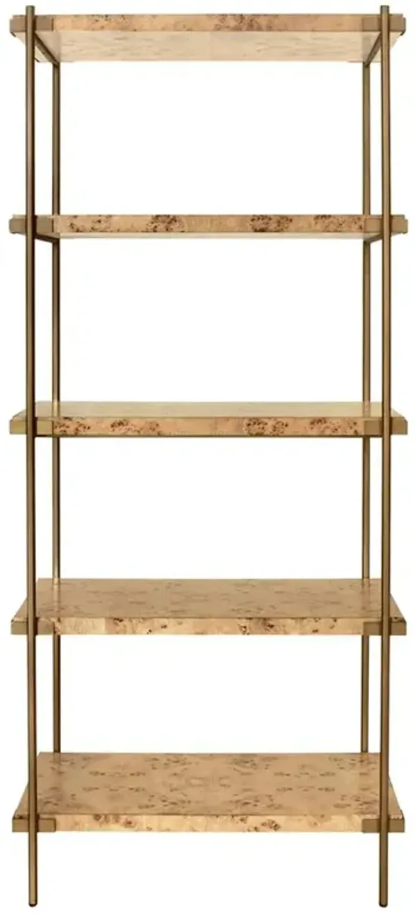 Worlds Away Harris Modern Classic Burl Wood Antique Brass Etagere