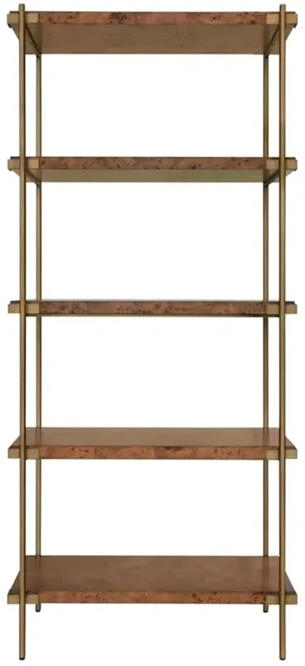 Worlds Away Harris Modern Classic Dark Burl Wood Antique Brass Etagere