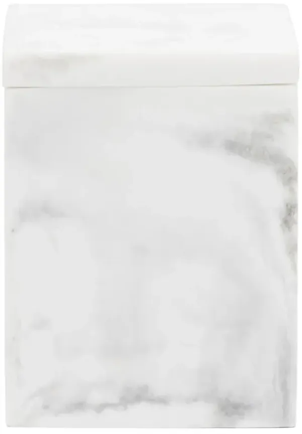 Pigeon and Poodle Parma Modern Classic White Resin Canister - Small