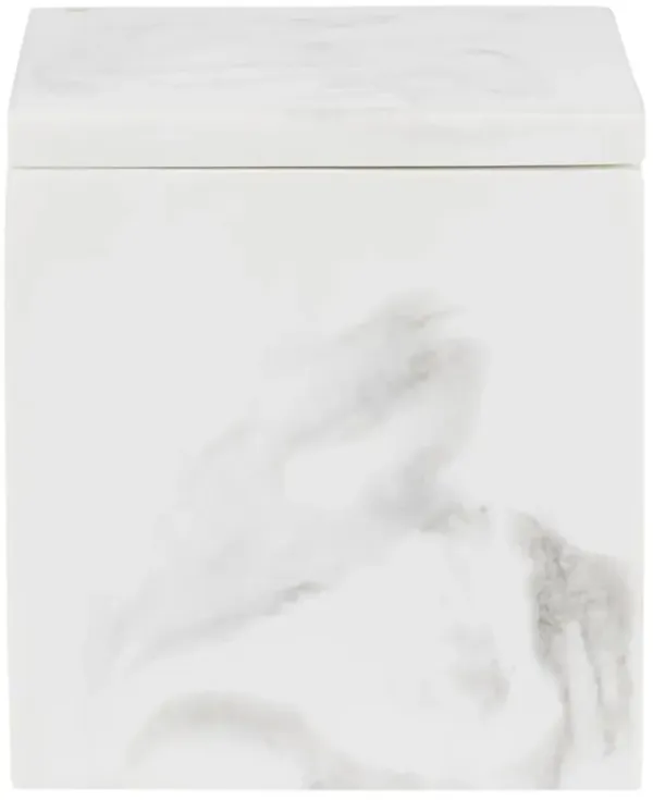 Pigeon and Poodle Parma Modern Classic White Resin Canister - Large